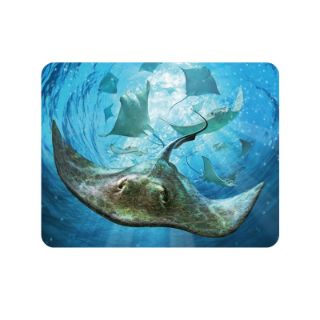 Obrázek z Magnet 3D 7x9cm - rejnoci (25) 